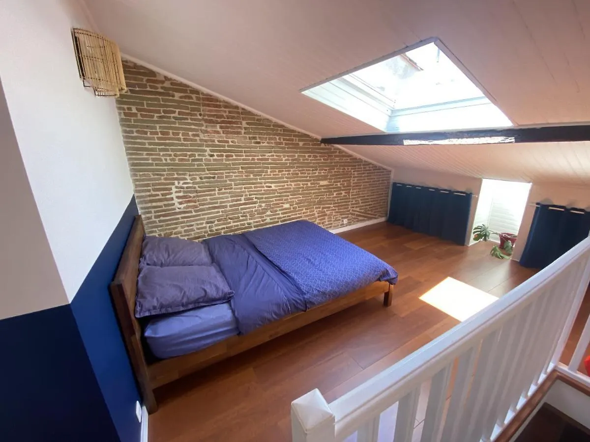 Appartement Le Saint Cyp - Briques Et Charme A Toulouse