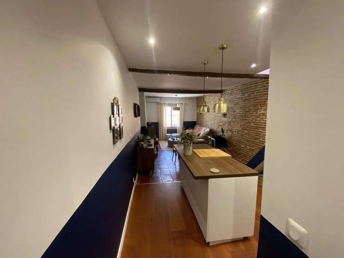 Appartement Le Saint Cyp - Briques Et Charme A Toulouse