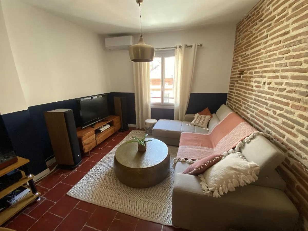 Appartement Le Saint Cyp - Briques Et Charme A Toulouse