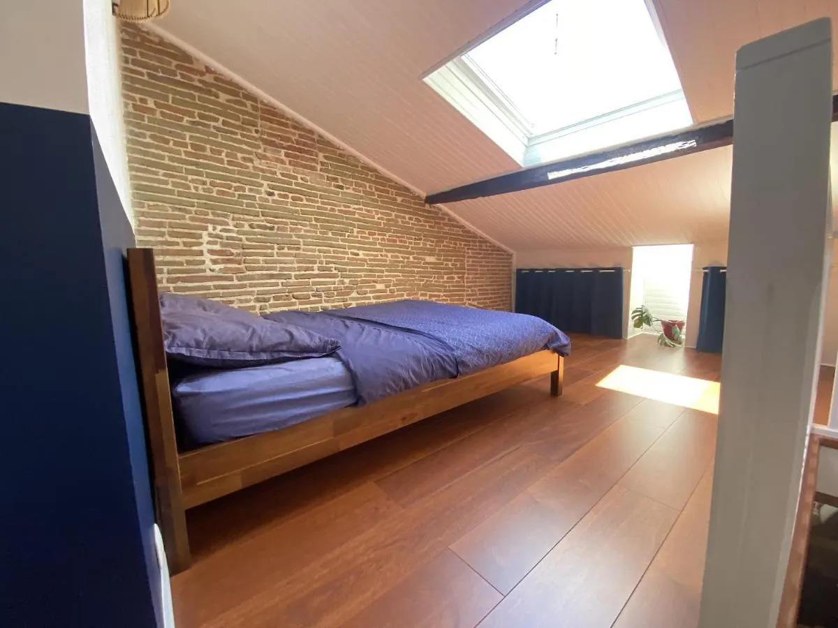 Appartement Le Saint Cyp - Briques Et Charme A Toulouse