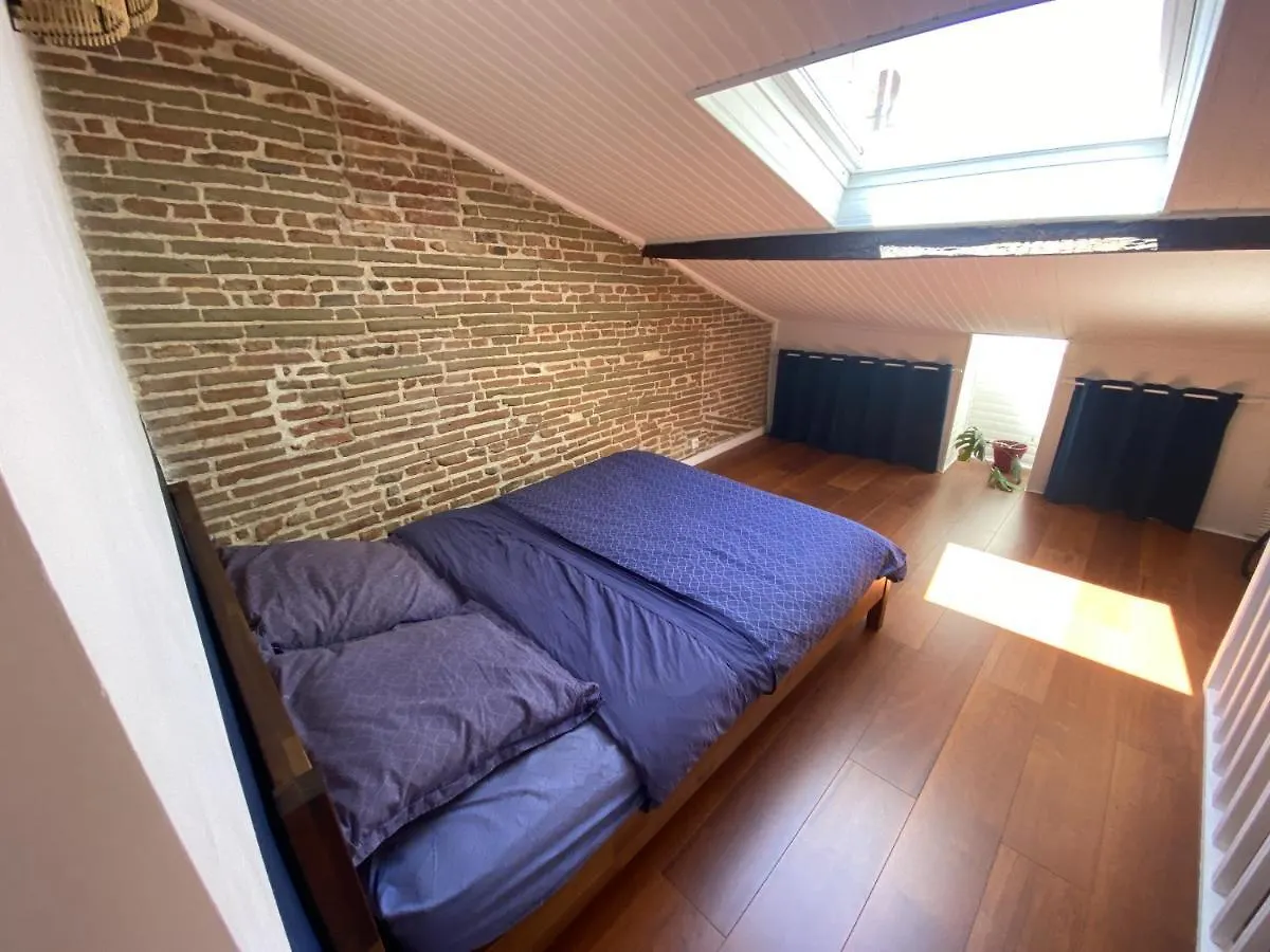 Appartement Le Saint Cyp - Briques Et Charme A Toulouse France