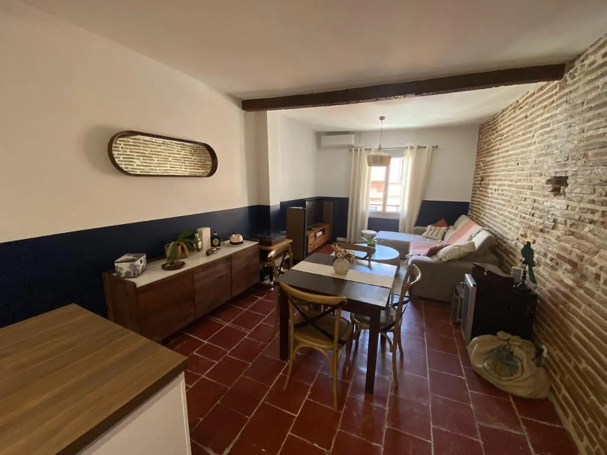 Appartement Le Saint Cyp - Briques Et Charme A Toulouse France