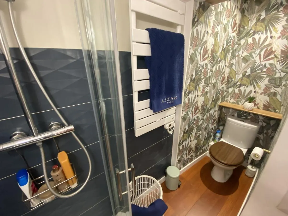 Apartmán Le Saint Cyp - Briques Et Charme A Toulouse